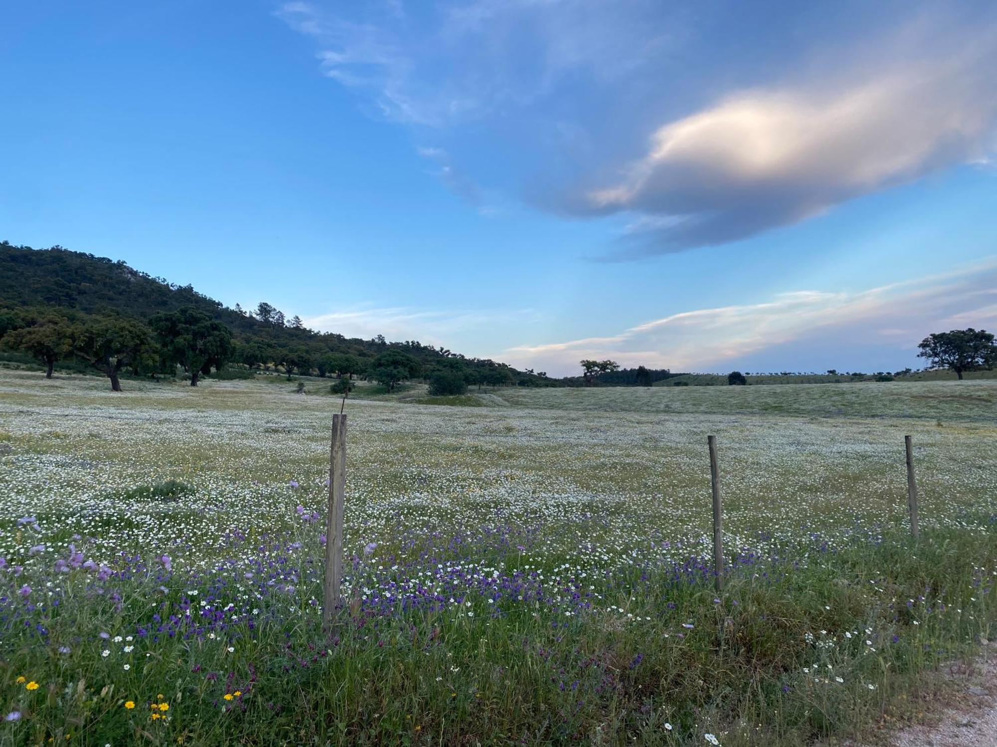 Monte Da Esperanca Villa Esperanca  Eksteriør bilde